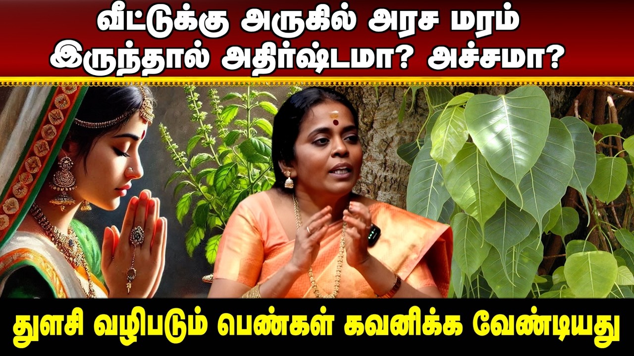 வீட்டுக்கு அருகில் அரச மரம் இருந்தால் அதிர்ஷ்டமா? அச்சமா? | #aanmeegaula