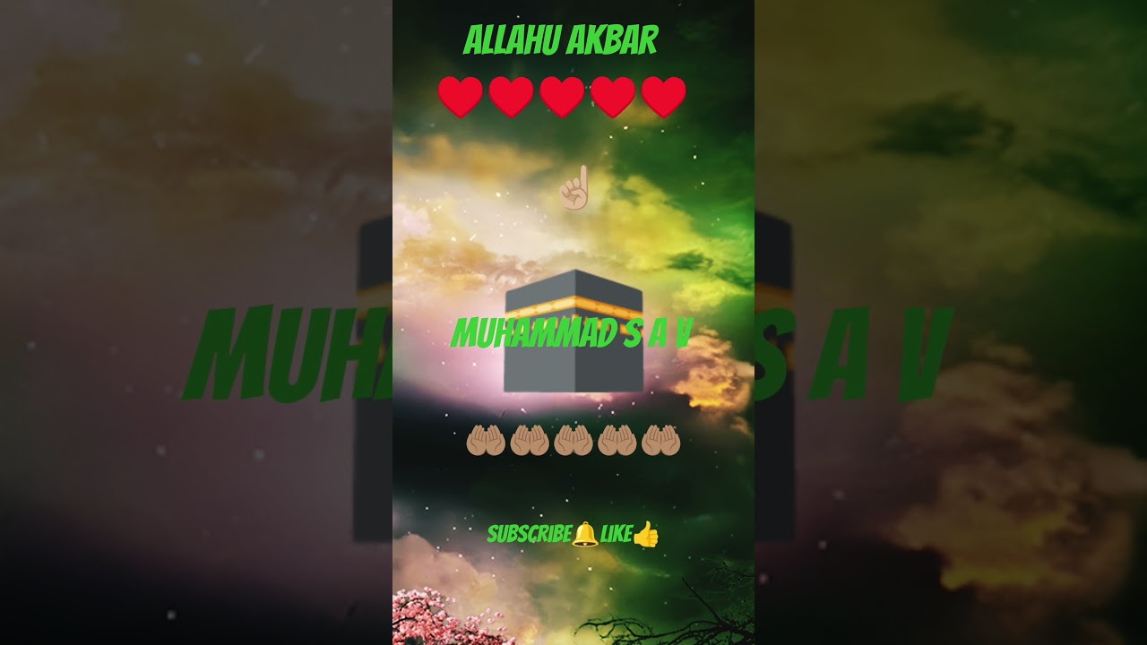 #пророкмухаммадﷺ #allah #sunnah #iman #islam #allahuakbar #top #islamicvideo #аят #muhammadﷺ #insane