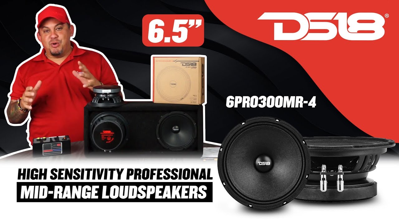 DS18 6PRO300MR PRO 6,5-дюймовый высокочувствительный профессиональный среднечастотный громкоговор...