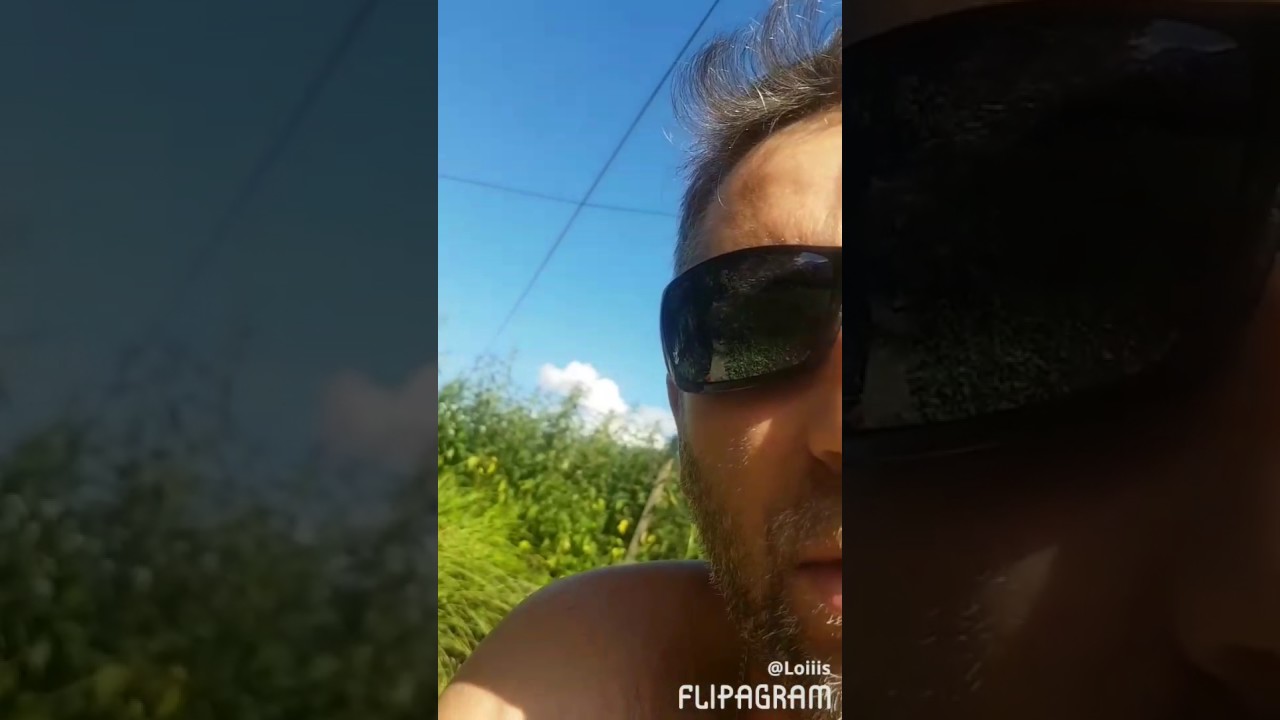 Filtre biologique pour bassin à partir d'un réfrigérateur