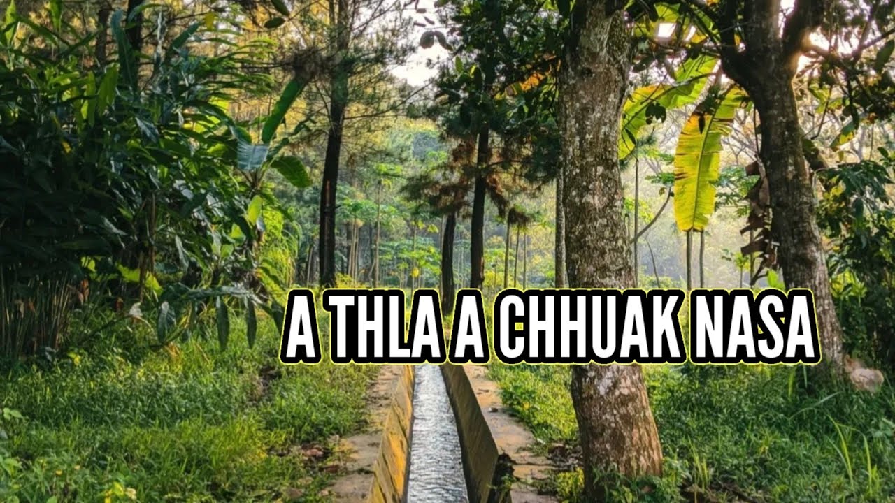 Zu la tur chesual Thlahrang leh Hrangliana Thiltawn mak tak mai chu ( Mi Thiltawnte 456 )