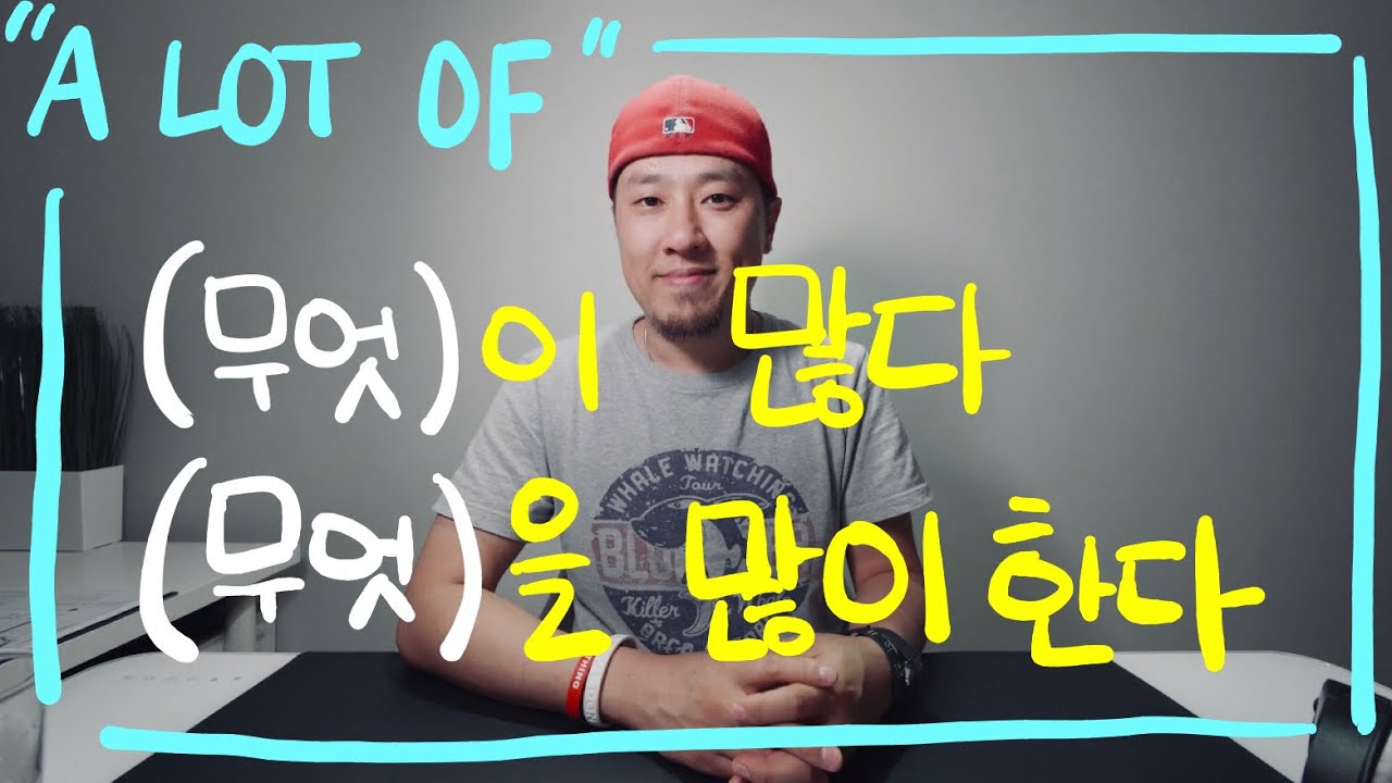 (무엇)이 많다 / (무엇)을 많이 한다 - 
