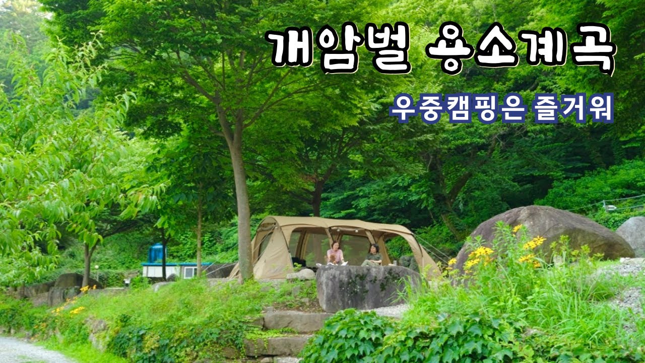 계곡과 우중캠핑☔️내가 제일 좋아하는 캠핑장⛺8천평 숲속에 사이트는 24개뿐❗애견동반캠핑ㅣ홍천 개암벌용소관광농원