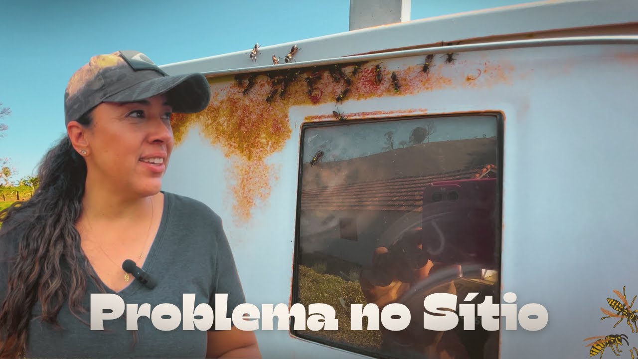 SEM ENERGIA ELÉTRICA NO RANCHO! | CONSTRUINDO UM SITIO DO ZERO
