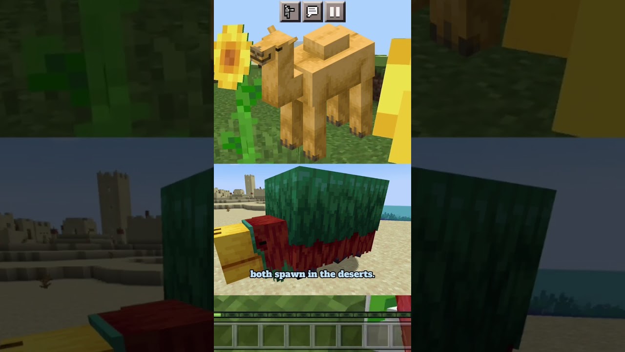 Minecraft 1.20 update is the Desert Update #minecraft #shorts #minecraftshorts