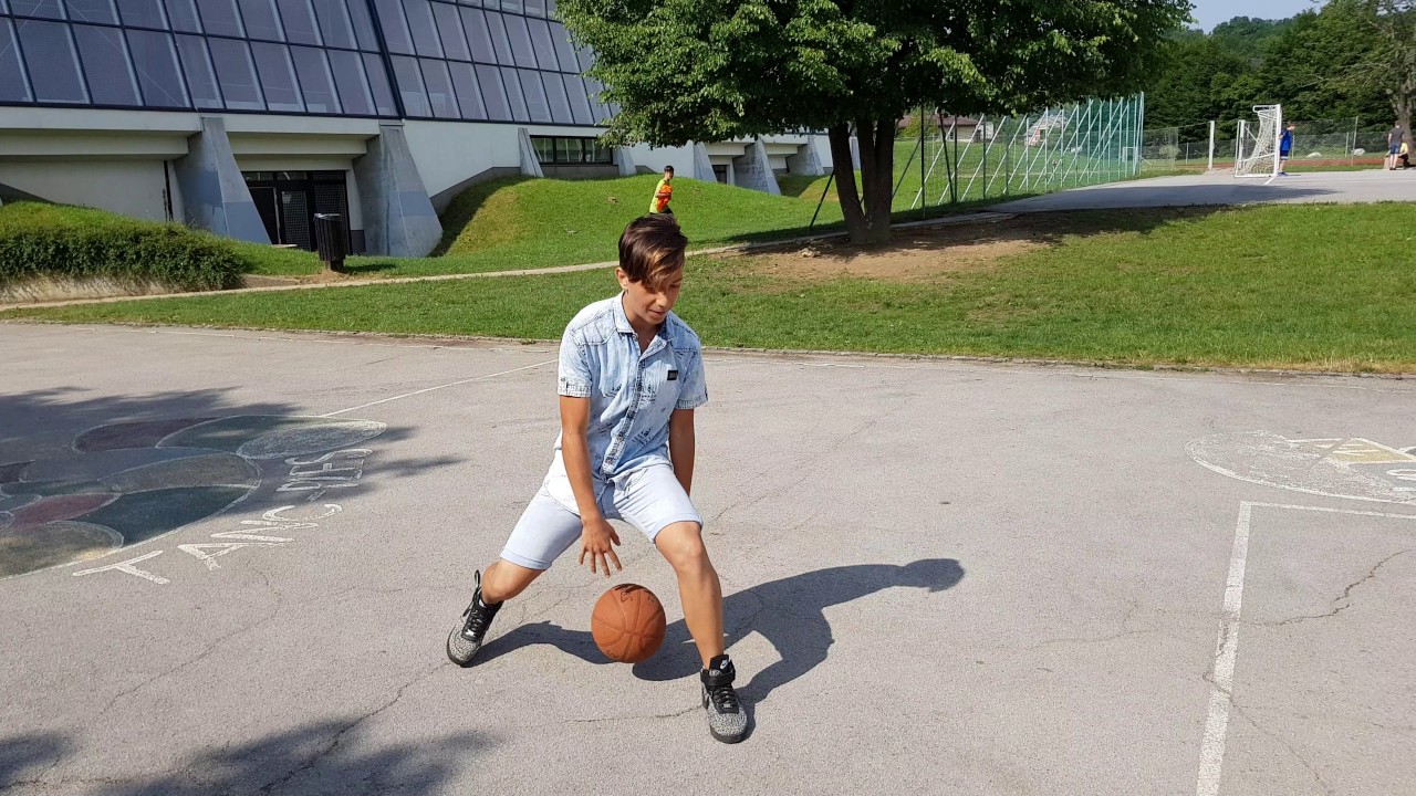 Moj vzornik