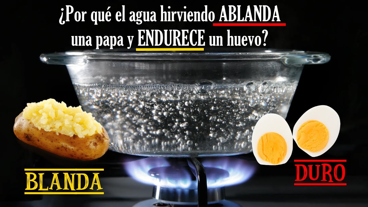 ¿Por qué el agua hirviendo ENDURECE un Huevo pero ABLANDA una Papa?