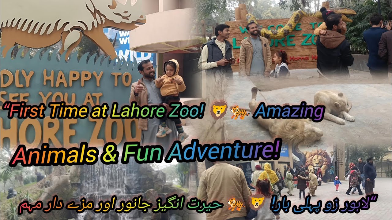 Exploring Lahore Zoo for the First Time! Stunning Animals & Fun Adventure 🦁🐅🐘