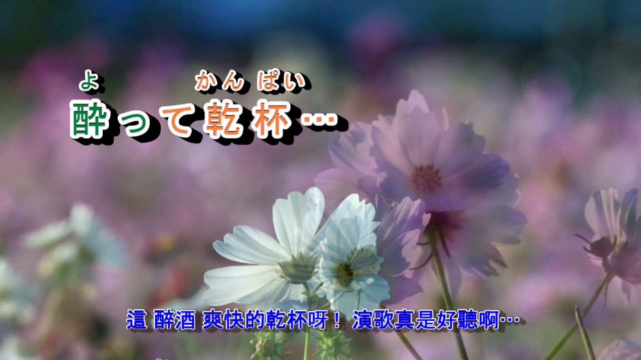 A05-454    演歌はいいね　岩本公水
