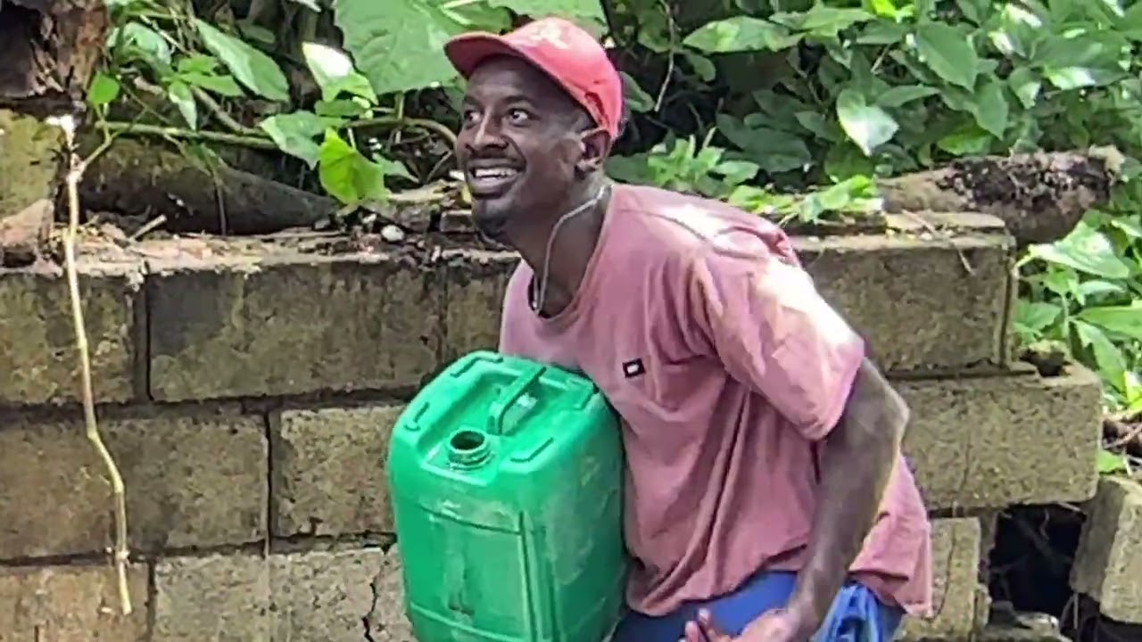 Dominican Republic / It's Not Easy Growing Rice!! / Dominican Channel