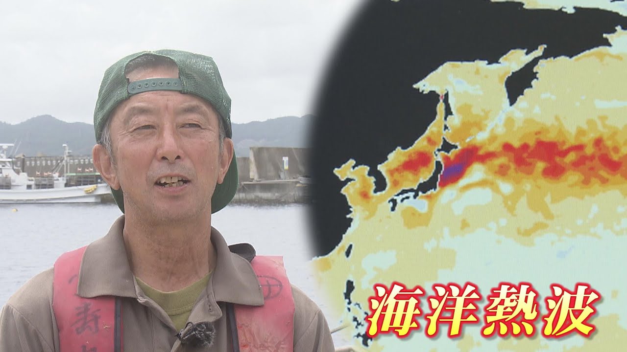 『海洋熱波』発生「海面水温6度上がった」三陸沖は世界で最も水温が上昇した場所に　海の異変で漁師困惑