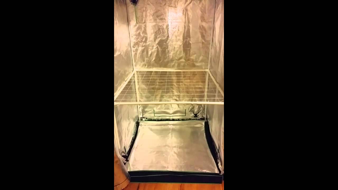Scrog Net by BrothazGrow2
