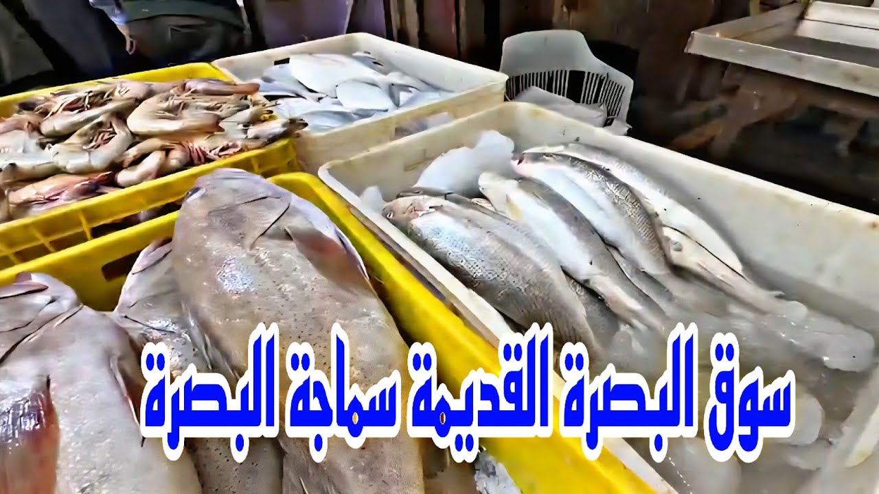 سوق البصرة القديمة سماجة البصرة مع ارتفاع نسبة الأسعار في شهر رمضان#أحمد_مهدي 