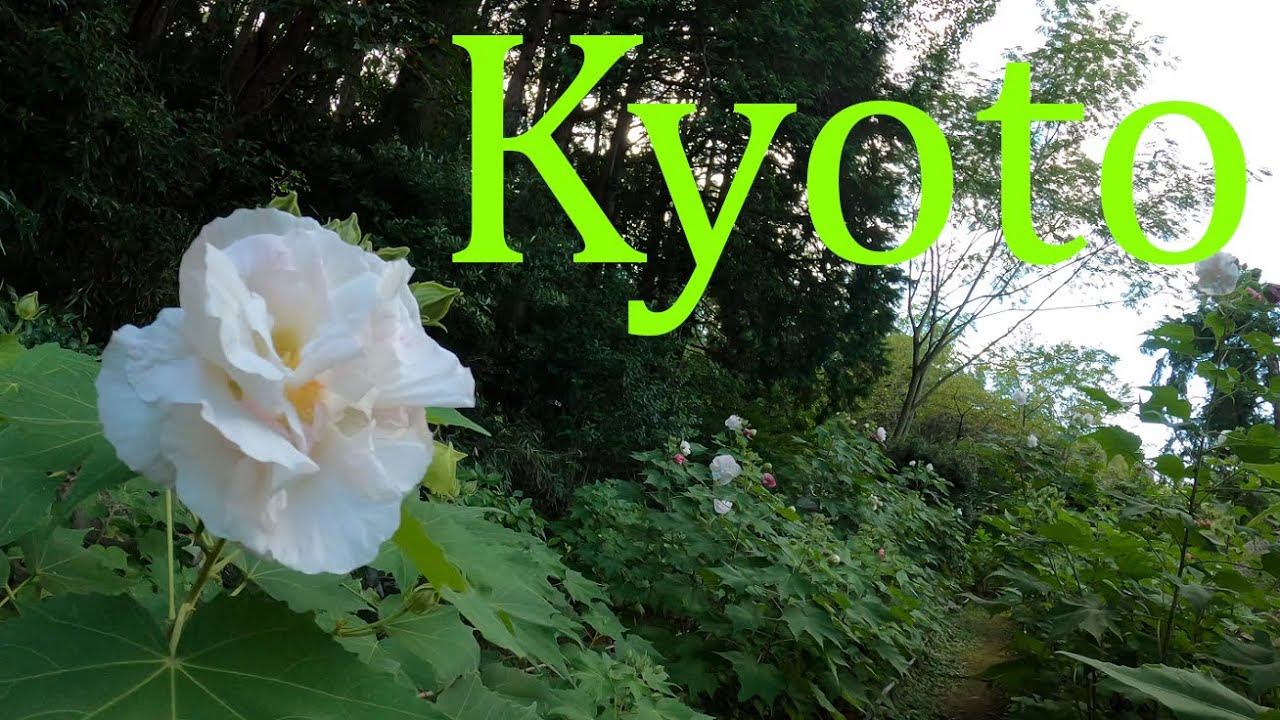 地下鉄御陵駅から南禅寺まで散策１　Walking Tour from Misasagi station of subway to Nanzenji Temple1, Kyoto, Japan［4K］