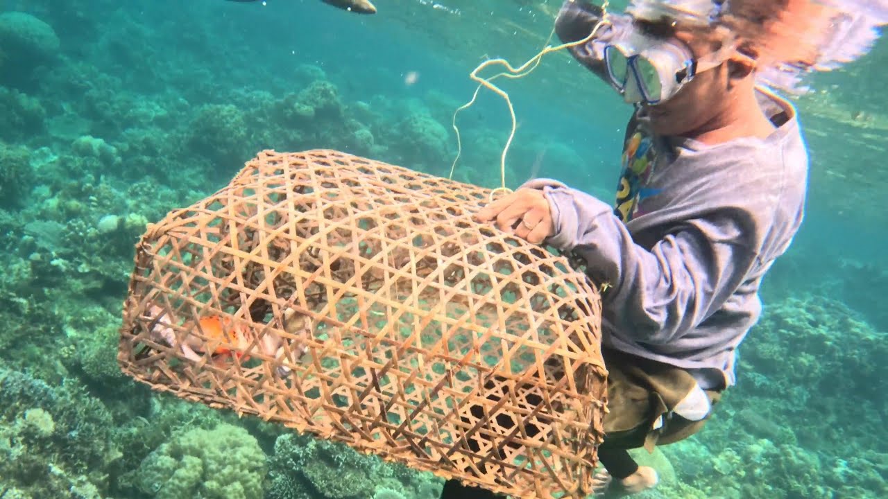 ngayon lang nangyari to! jackpot kami sa aming fish trap ang dami pumasok😱