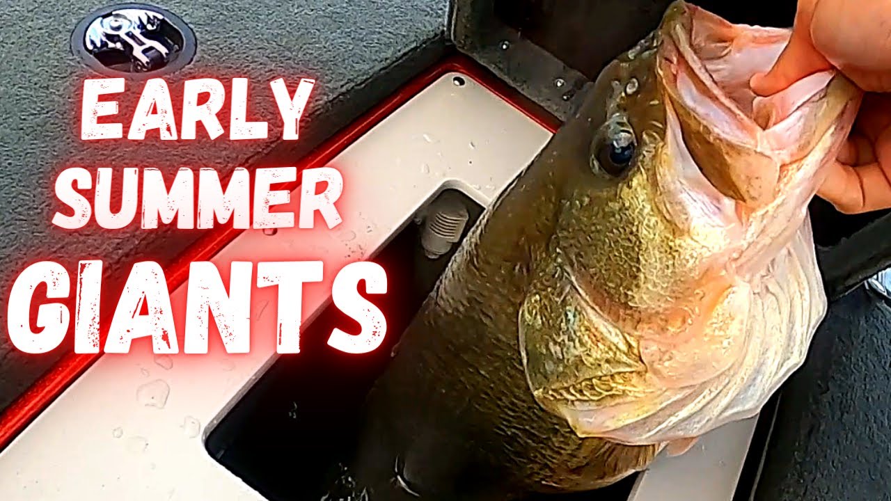 I Caught a MASSIVE Bass on Clinton Lake | Clinton Lake Illinois