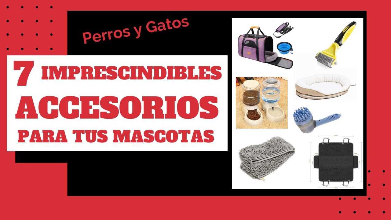 7 ACCESORIOS 👌IMPRESCINDIBLES para tu 🐶🐱MASCOTA (Perros y Gatos).