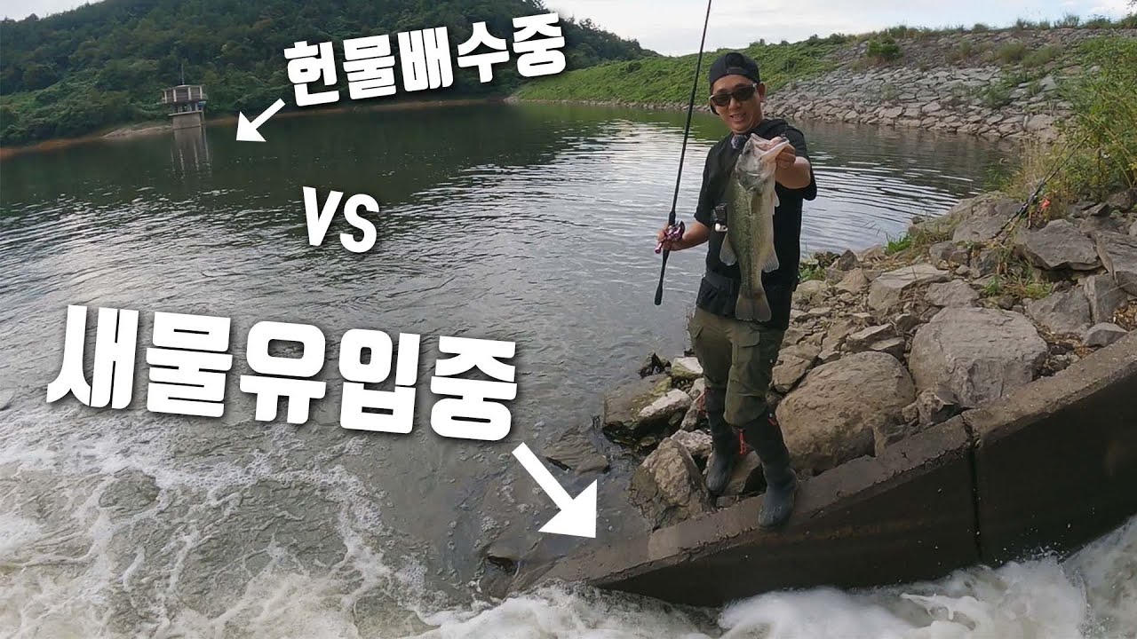 배수중인 저수지에서 갑자기 새물을 만난다면? [feat.박성완] ep.40_korea bass