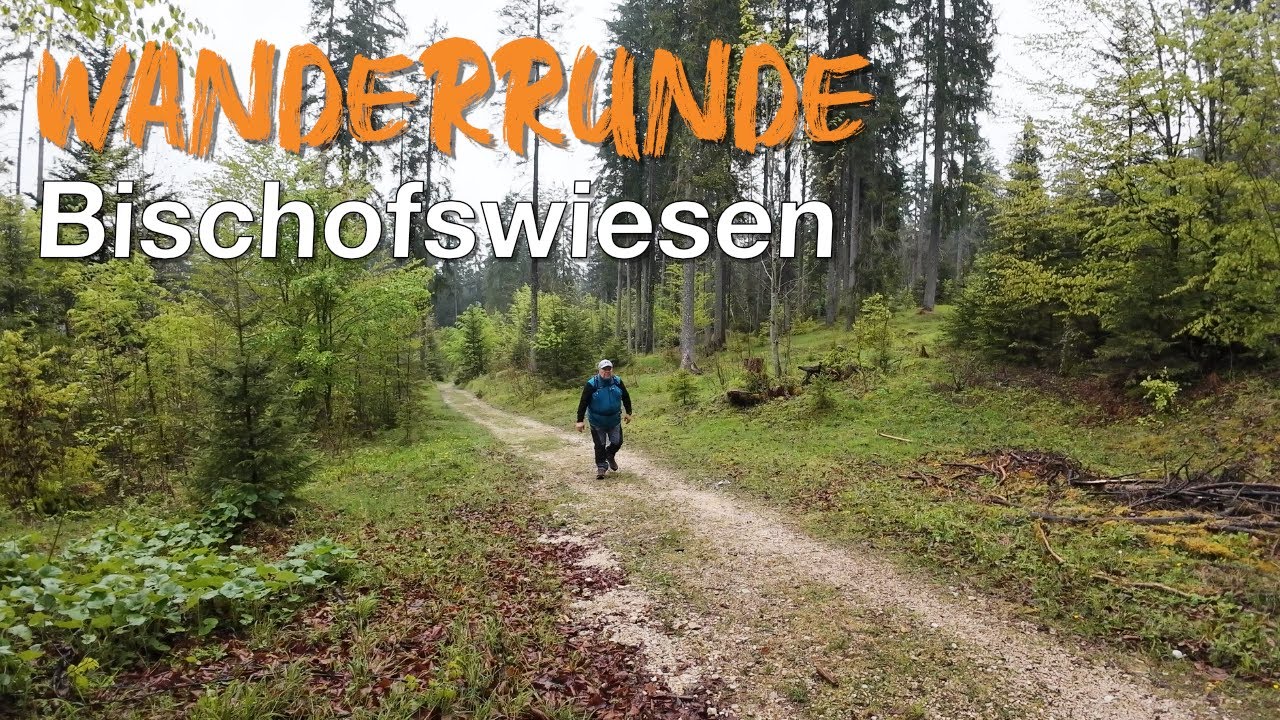 Entspannte Wanderrunde in Bischofswiesen | Natur & Ausblicke im Berchtesgadener Land