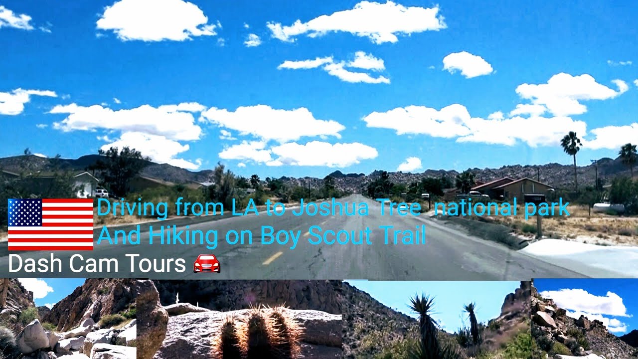 Dash Cam Tours 🚘 Driving from Los  Angeles to Joshua Tree National Park & Hiking. No Music