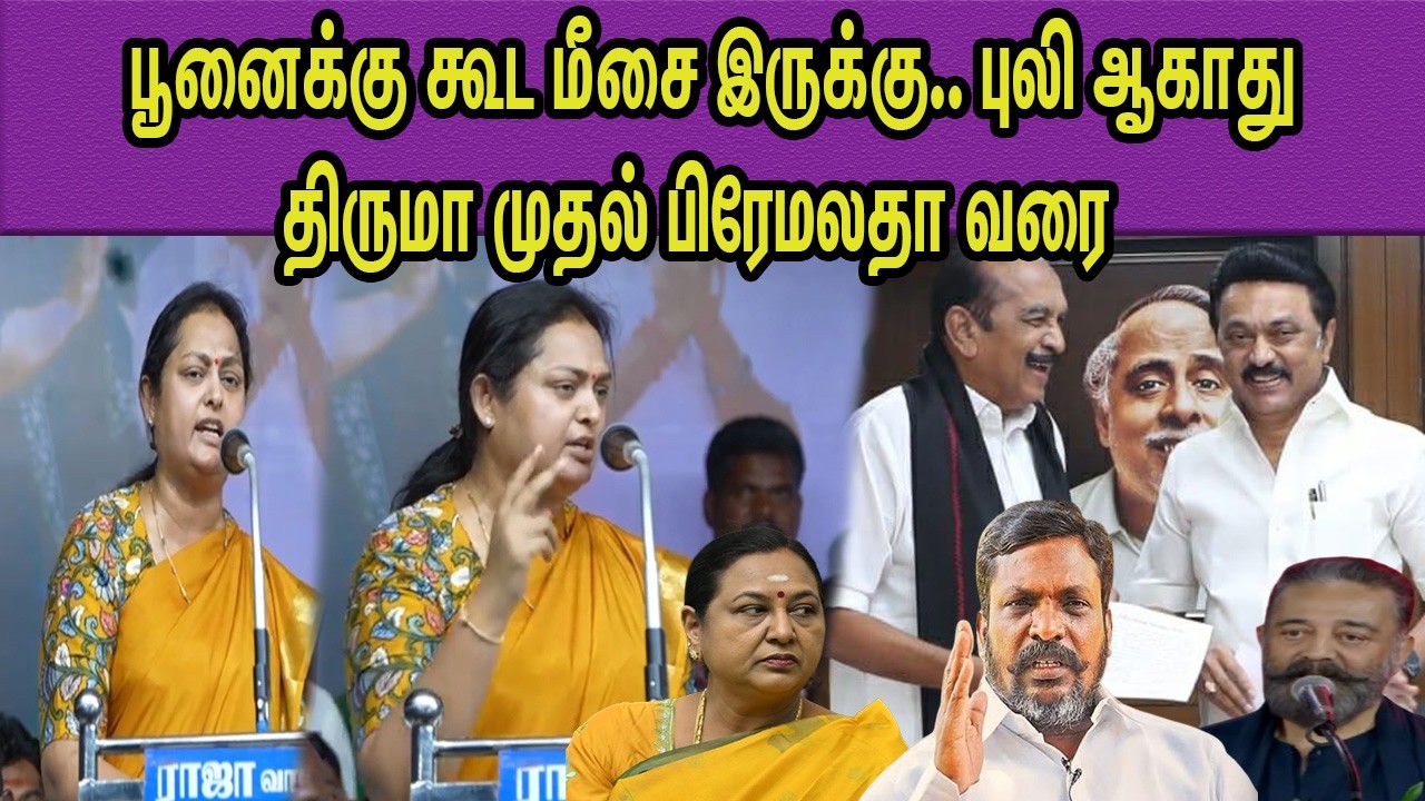 DMKவும் கூட்டணி கட்சிகளும்..வச்சு வெளுத்தADMK Vindhya Vs  Vaiko |Thirumavalavan,Kamalhassan nba 24x7
