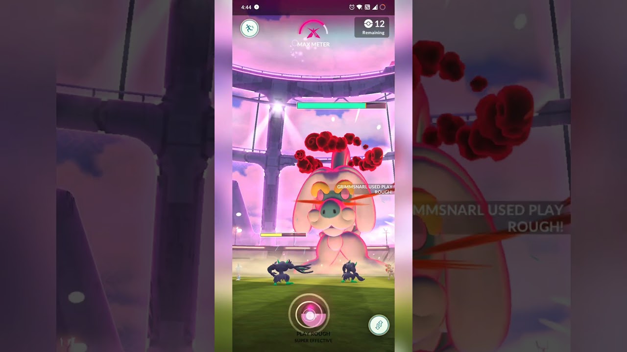 DYNAMAX RAID DRAMPA 