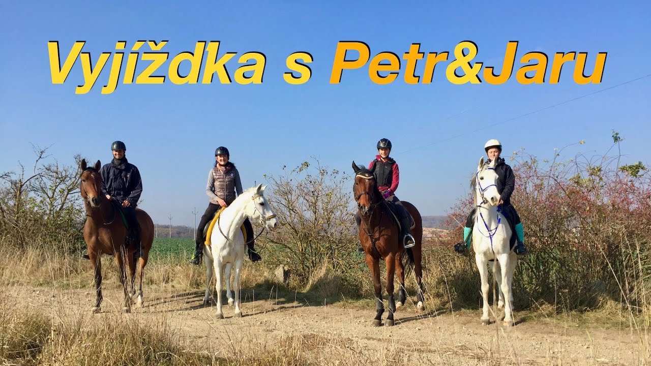 Vyjížďka na koních s Petr&Jaru a pozvánka pro vás 🏇🏇 Učíme koně chodit do řeky  | VLOG