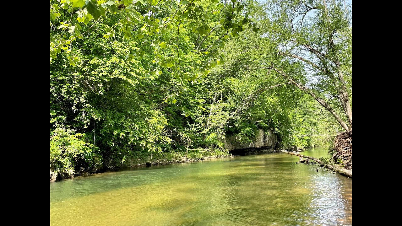 Fly Fishing for River Smallmouth Bass with a Popper in the Missouri Ozarks