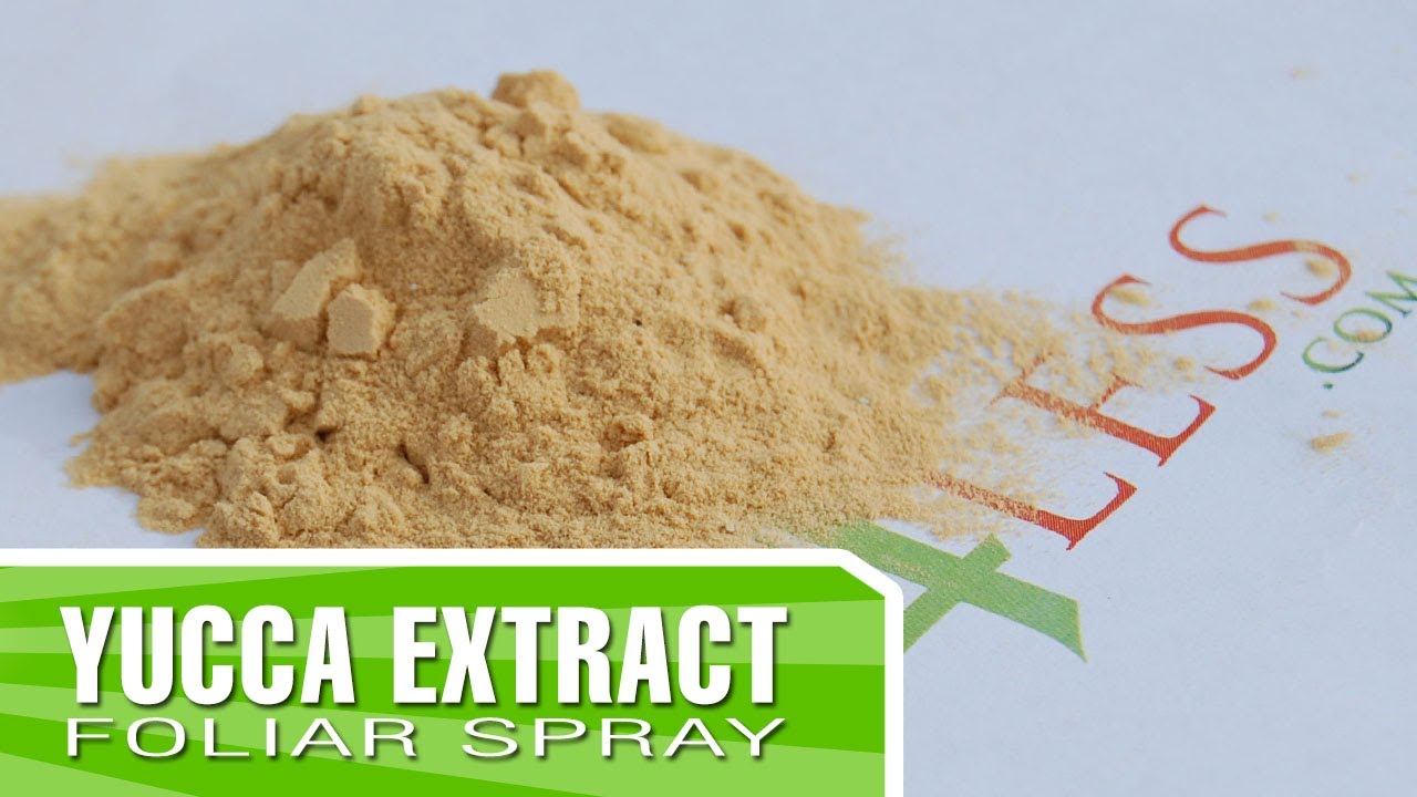 Yucca Extract - Why would you use it as fertilizer