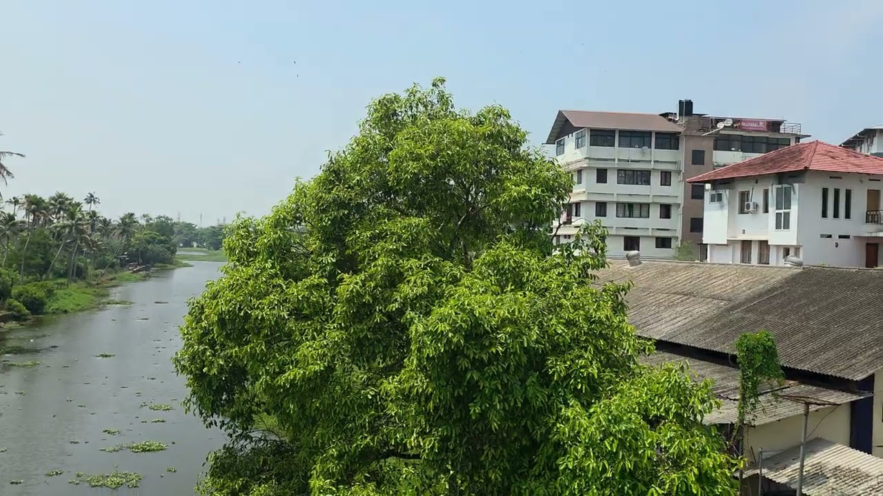 ഈ ലൊക്കേഷൻ എവിടെയാണെന്ന് കറക്റ്റ് പറയാമോ 