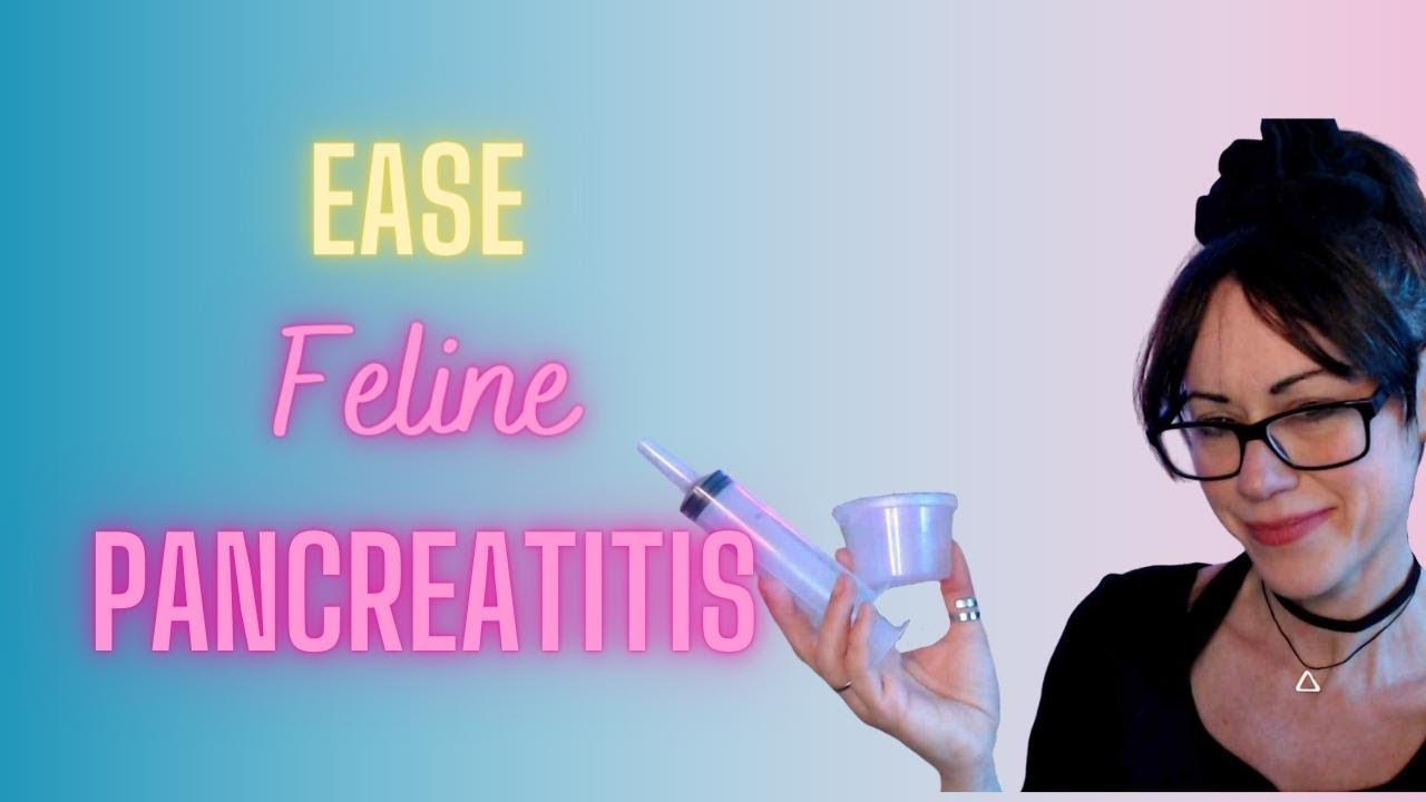 Feline Pancreatitis: Natural Support That Works