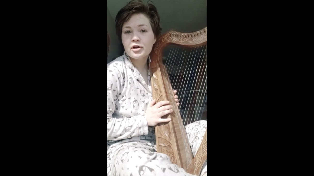 Learn the harp with me - beginner