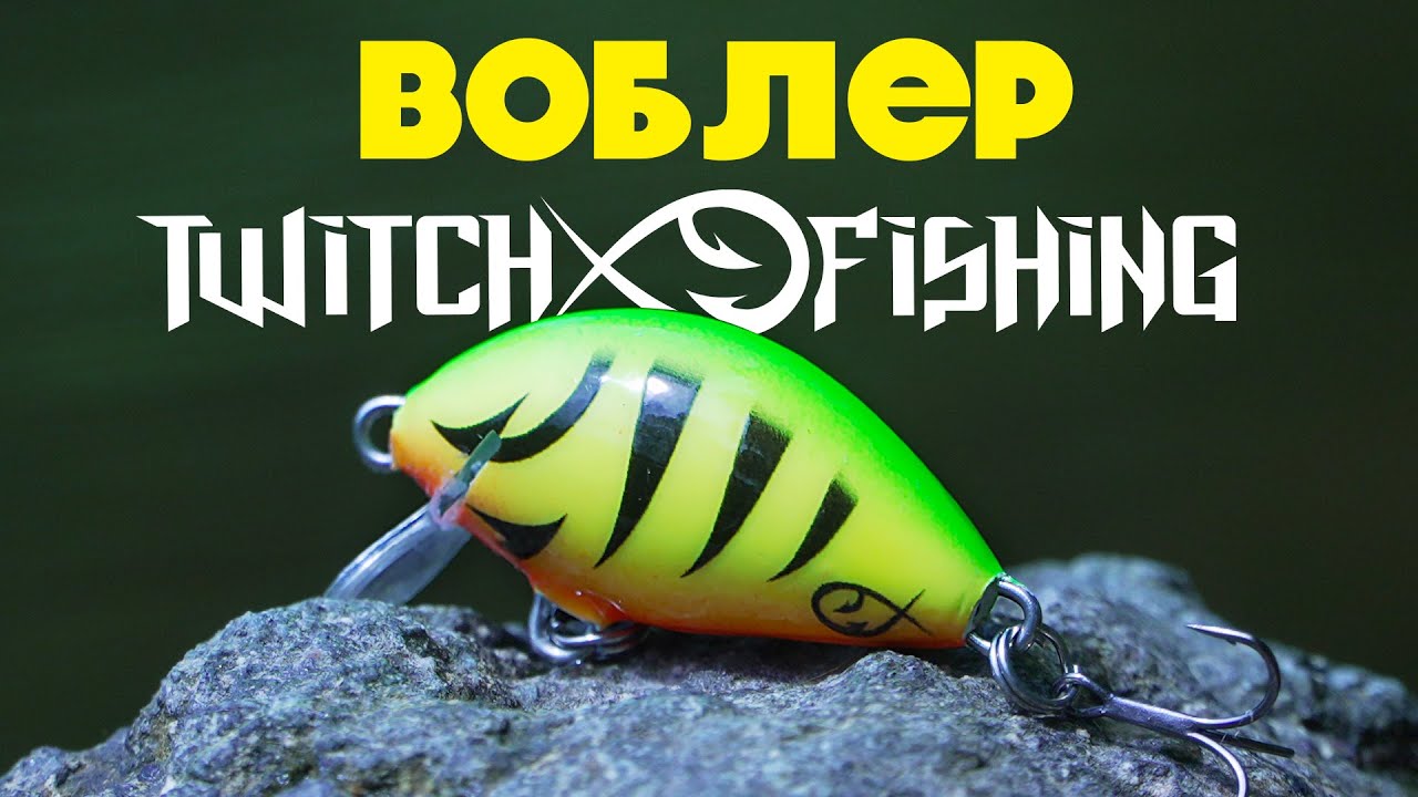 Как се води БЪЛГАРСКОТО SALMO TINY?