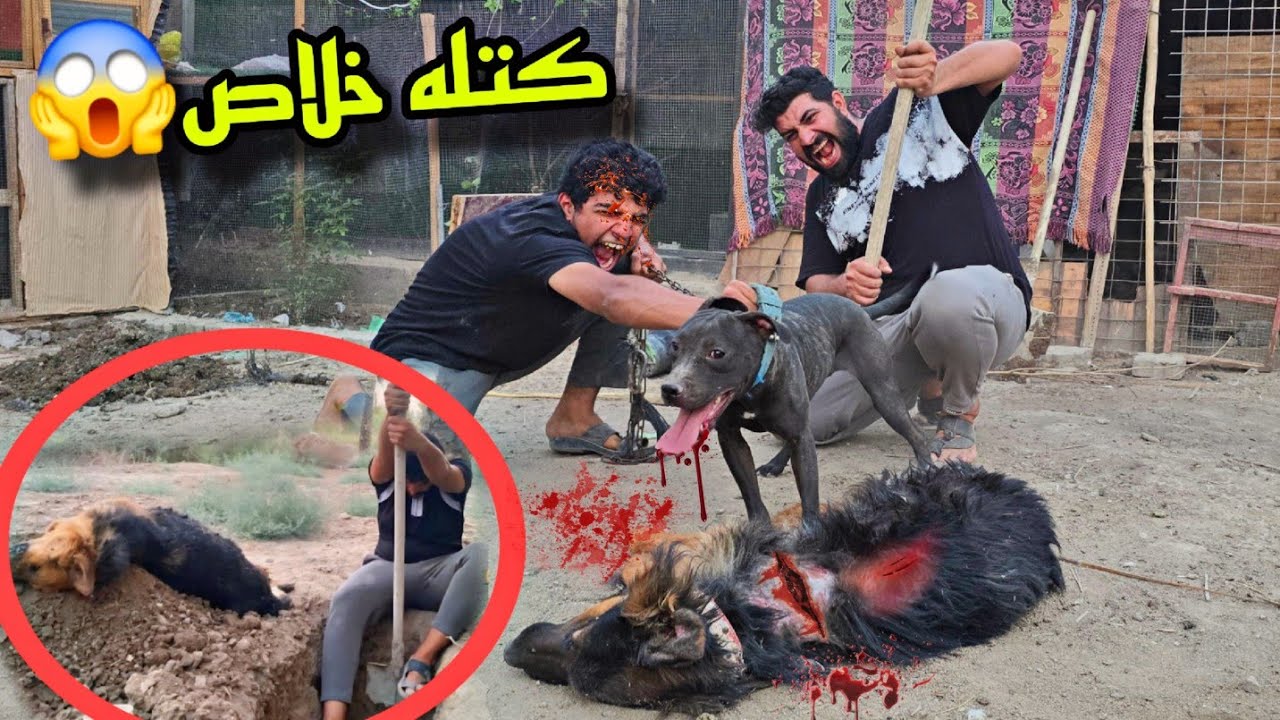 الوحش الأسود يقضي على دراكون – معركة نهاية العالم!