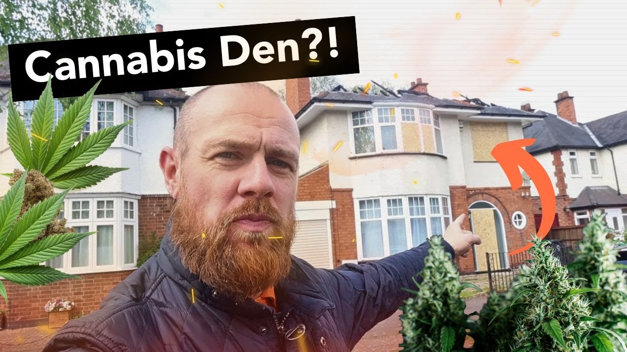 3 Signs a House Is a Cannabis Drug Den (UK Landlords Must Know!)