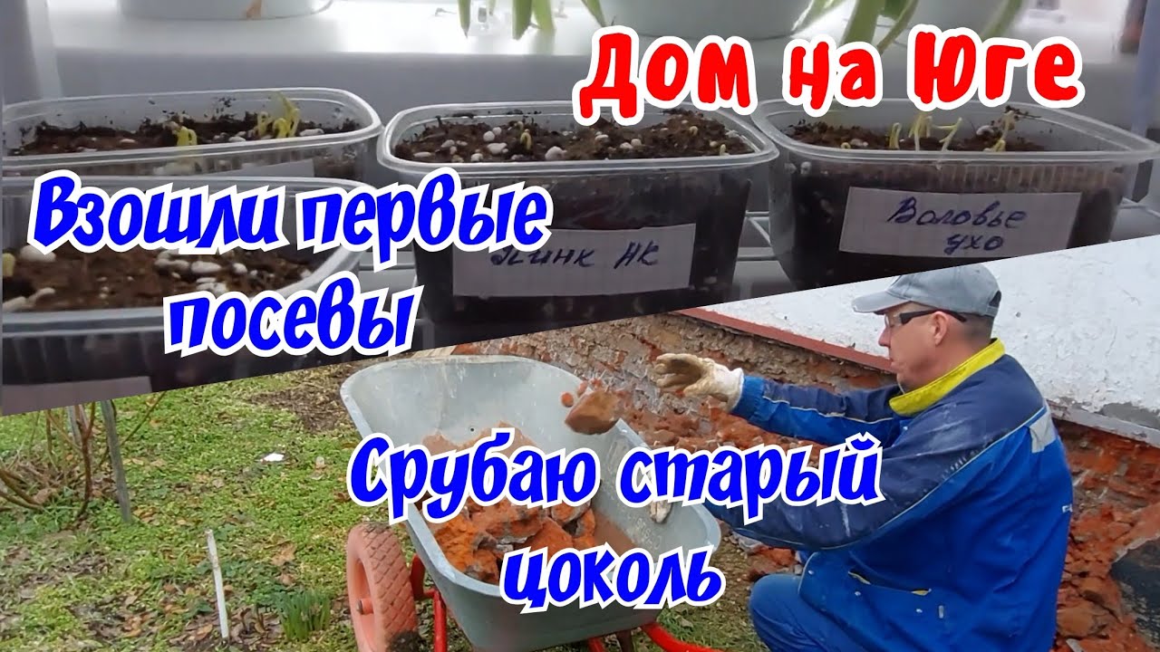 Дом на Юге.  Первые всходы. Срубаю старый цоколь. 