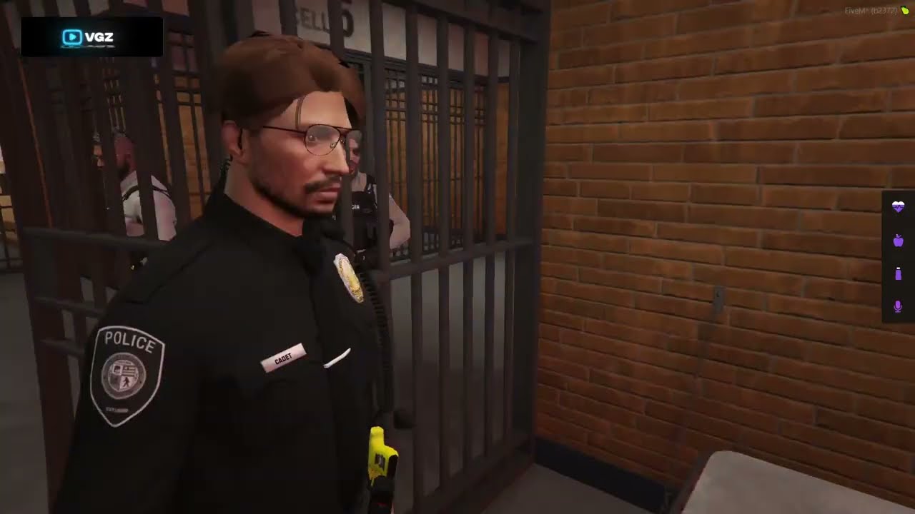 Vgz zemsta za taser
