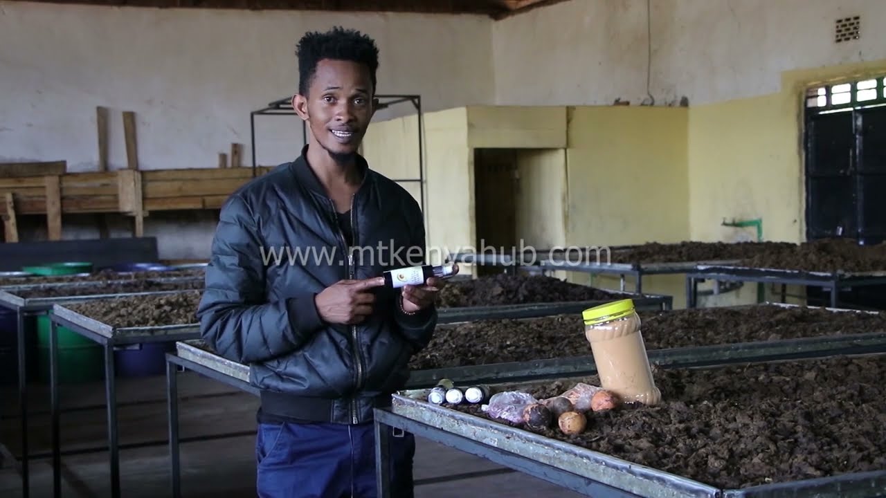 Alpine Agribuz - Mt Kenya Innovation Week (2nd Edition)