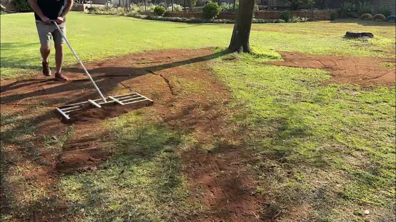 Spring Lawn Reno 2025 - top dress & verticut my Kikuyu lawn