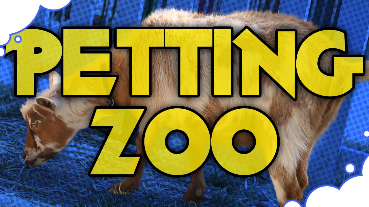 Game Grumps at the PETTING ZOO - GrumpOut