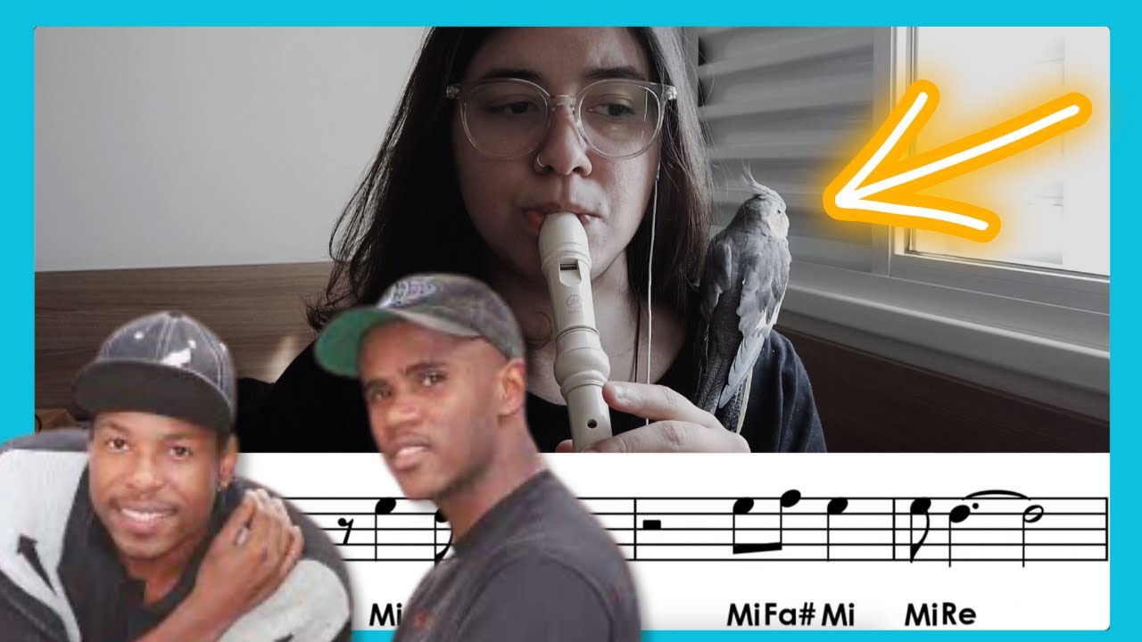 Fico Assim sem voc&ecirc; - Flauta Doce com NOTAS (Multi Raquel Dias)