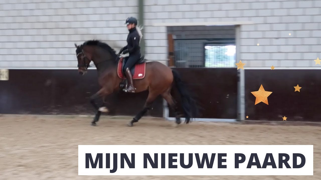 MIJN NIEUWE PAARD RIJDEN!! 😍🦄  || JILL HUIJBREGTS ||