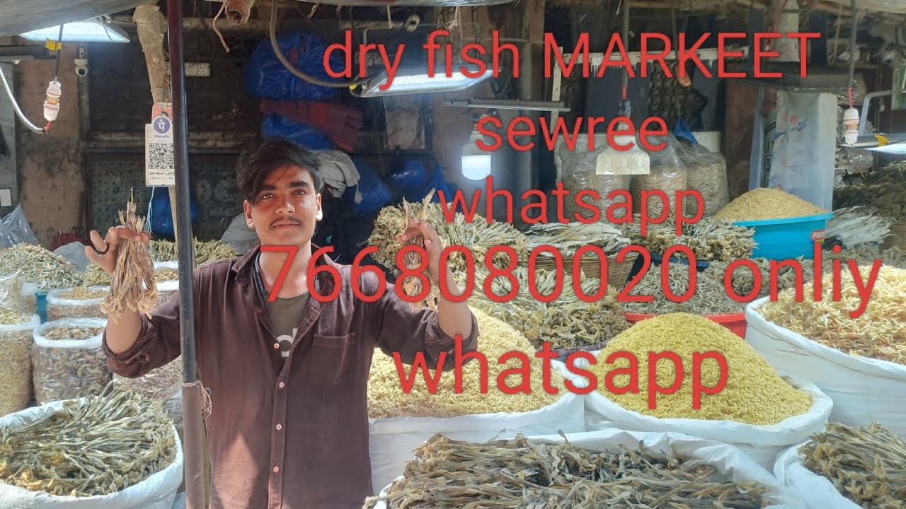 @dry#fish#All#india#mumbai#sewree#long#video#