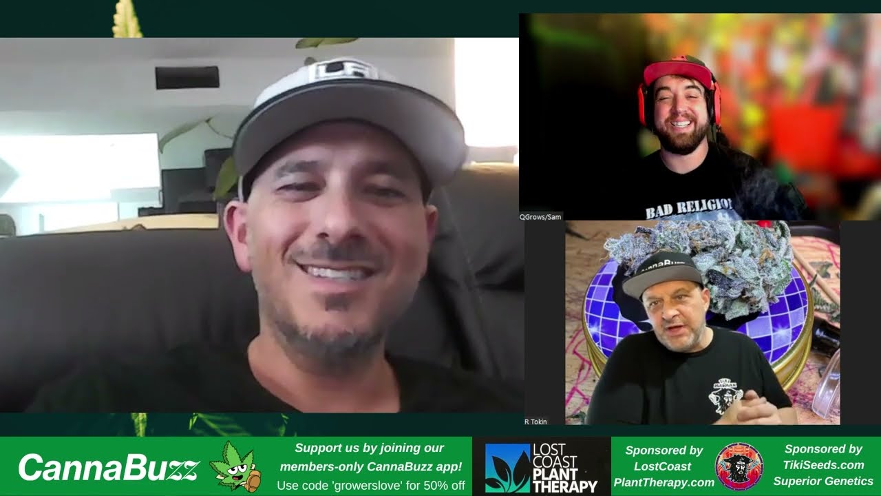 Neptune Seedbank + Insights into the Seed Game