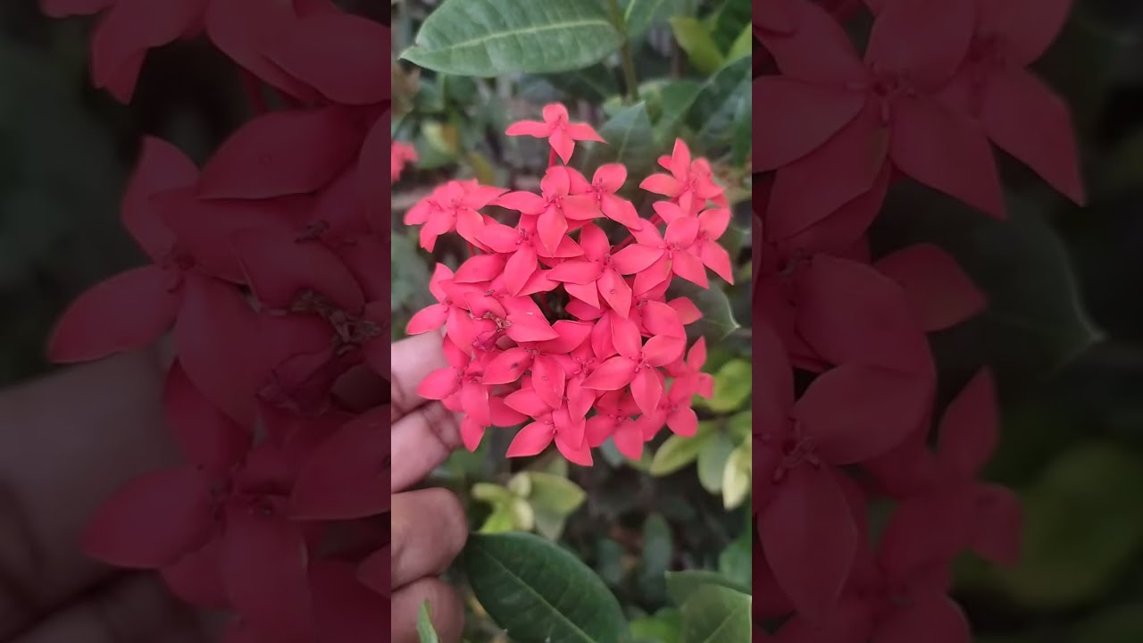 சாந்தமாக செல்பவன் பாதுகாப்பாக செல்கிறான்.