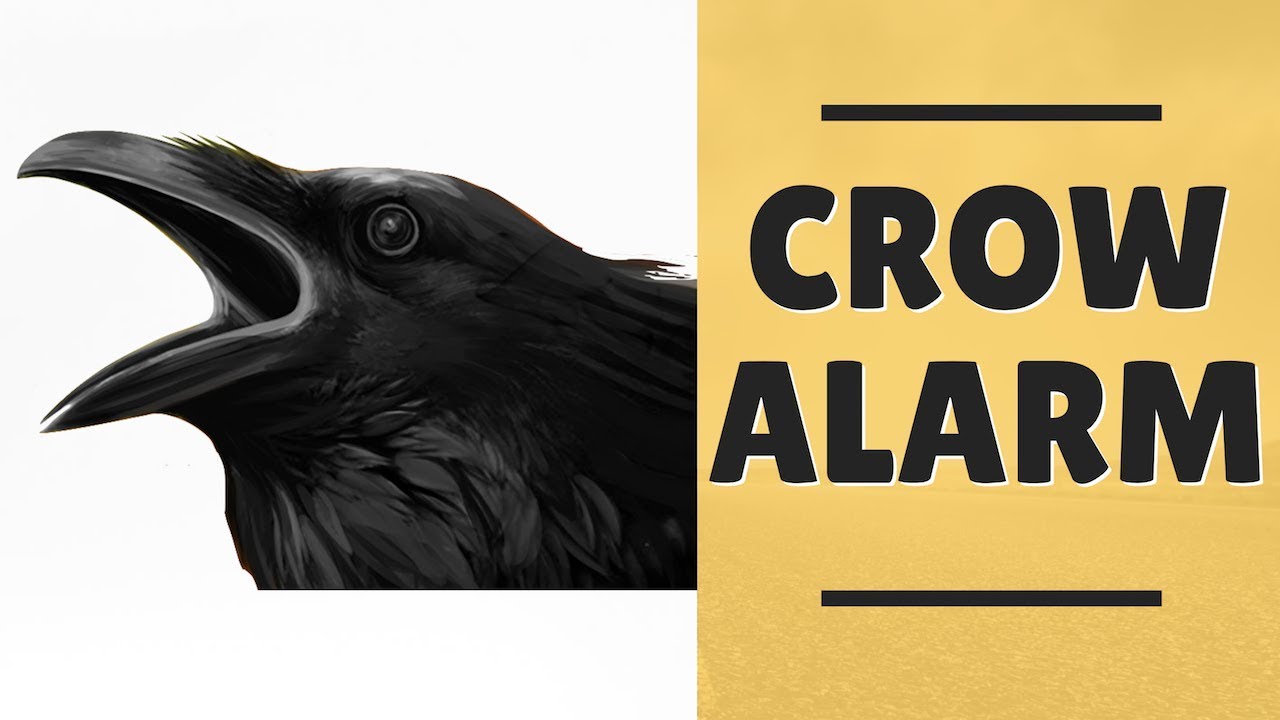 Crow Alarm Sound | Crow Calling