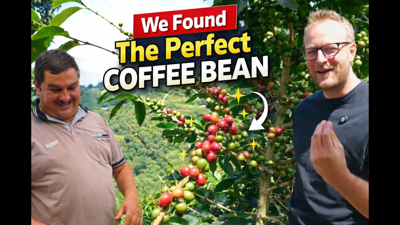 Why Colombian Coffee is so Damn Good