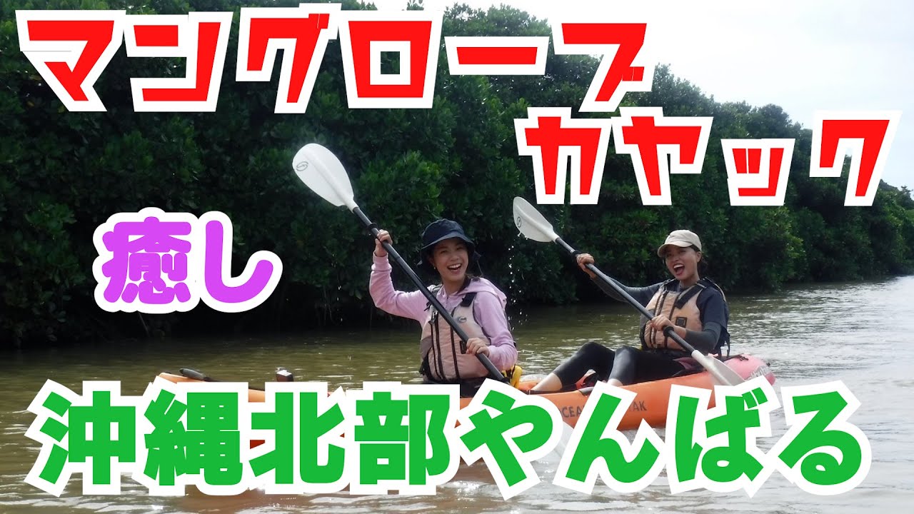 【沖縄マングローブ】やんばるの慶佐次川でマングローブカヤック体験！癒しの時間でした