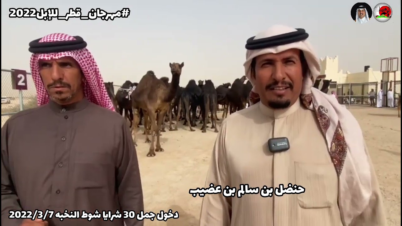 دخول جمل 30 شرايا شوط النخبه