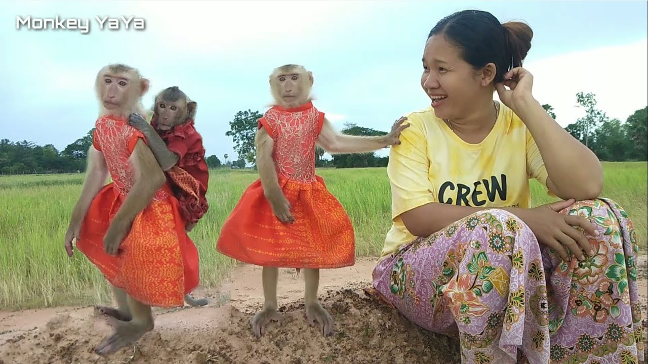 YaYa Feels Broken Heart To Go For Walk By Carrying Princess Shally